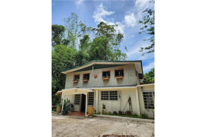 Guavate, Rancho Las Vegas $7500
