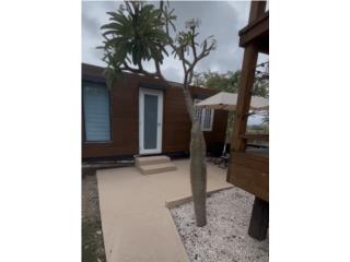 Alquiler Barrio Llanos Costa  550 Cabo Rojo