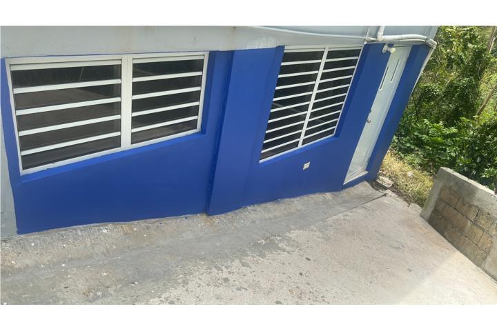 Sonador