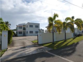Hatillo, Barrio Carrizales