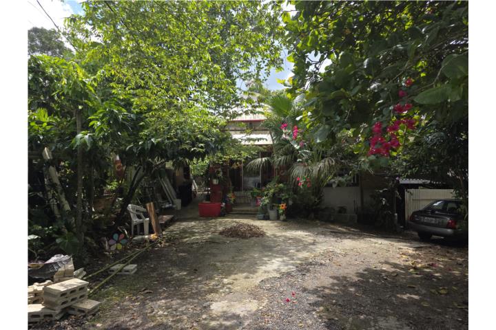 Barrio CIBAO, San Sebastian PR