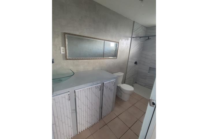 Espacioso apt 1/1 Caguas $550