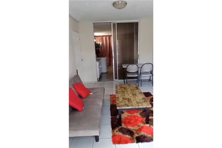 Urb.vista hermosa 787-667-4046