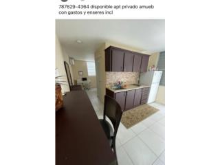 Alquiler Urbanizacion Mayaguez Terrace 30 seg apie RUM APT PRIVADO/ utilitys y amueb Mayag�ez