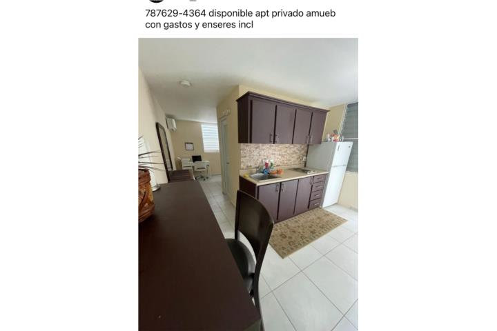 30 seg apie RUM APT PRIVADO/ utilitys y amueb