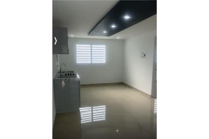 APT Remodelado/INCLUYE agua,luz,aires,estufa