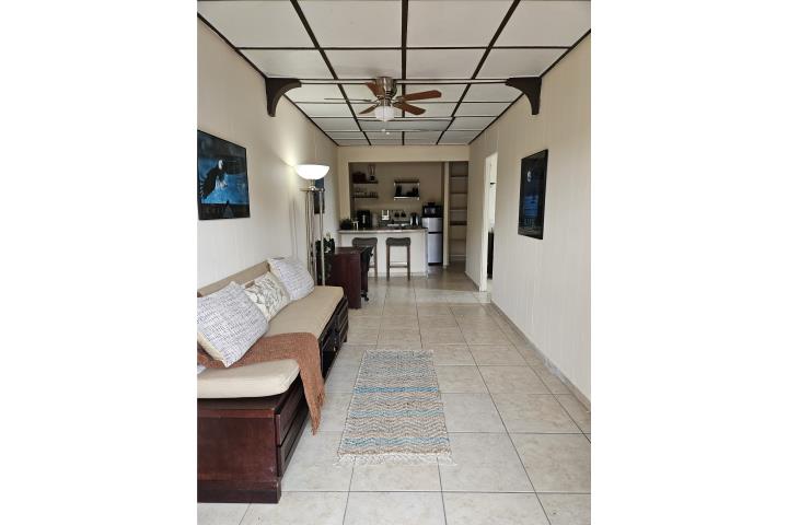 Hato Rey /Apartamento