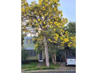 Rentals Urbanizacion Levittown Varones 2c 1b aire aaa luz  Toa Baja - Levittown