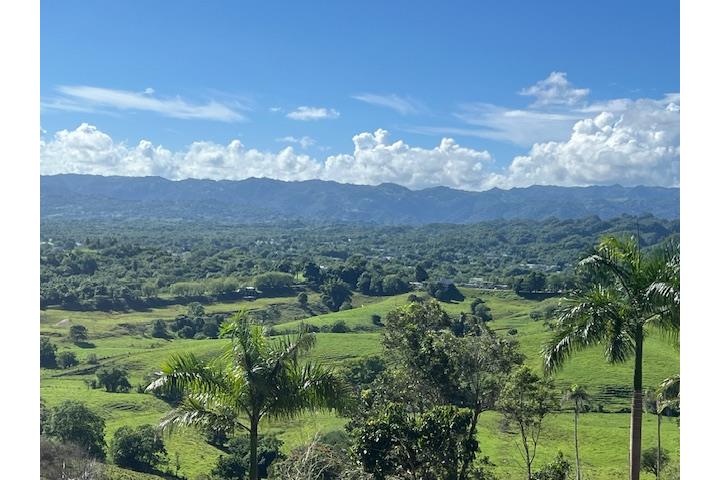 SE ALQUILA, FINCA 3.5CUERDAS, MANATI