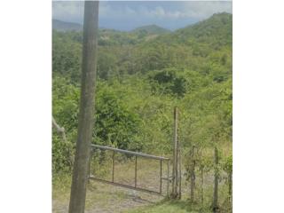 Alquiler Se Alquila Finca de 175 cuerdas en Coamo