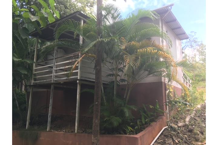 Barrio Rio Cañas Arriba, Mayaguez, PR