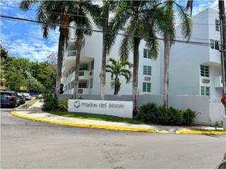 Cond. Prados del Monte en Guaynabo