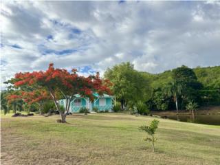 Alquiler Hermosa solo 850 Bo Palmas Arroyo 