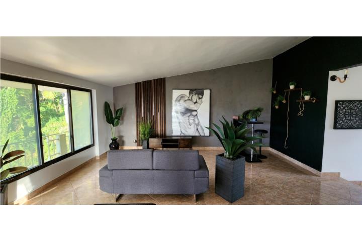 Apartamento Amueblado en La Mesa, Caguas