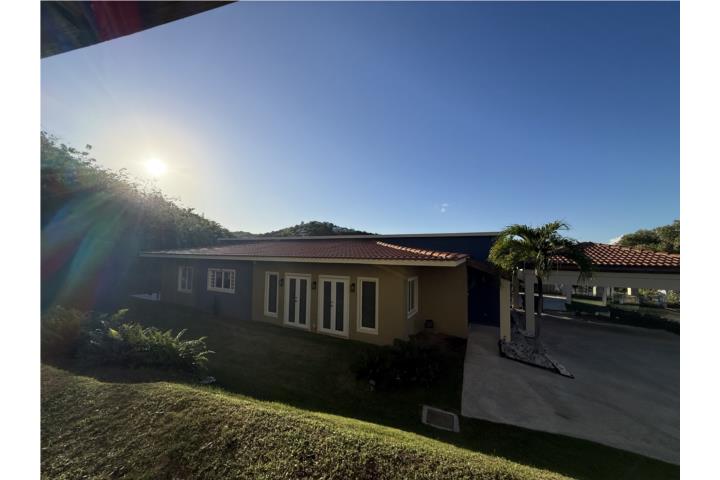 Palmas Del Mar