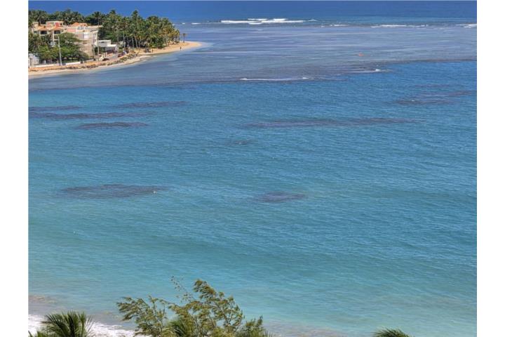 Luquillo Playa Azul III Frente al Mar 1 cuart