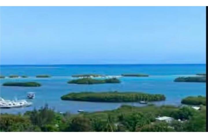 LA PARGUERA A 2 MINUTOS DEL AGUA