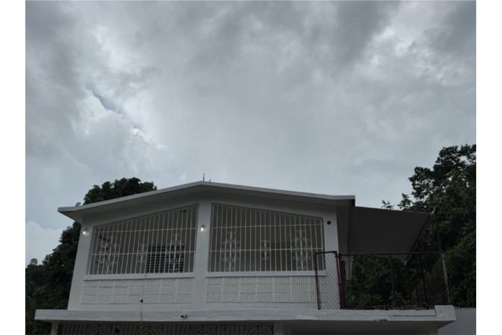 Dorado espinosa