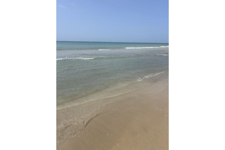 Playas del yunque , garden cerca de la playa