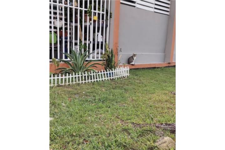RENTA DE APARTAMENTO