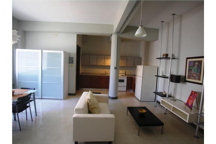 Mendez Vigo Lofts Apartments- Penthouse PH-1