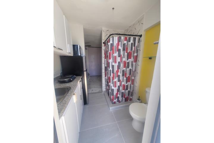 Estudio en Urb Alt de Flamboyan Bayamon 480.0