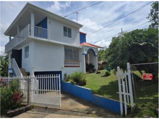 Alquiler Barrio Borinquen Propiedad espaciosa-ambiente tranquilo Caguas