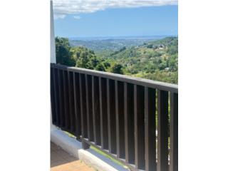 Rentals Gurabo, hermosa vista a San Juna. 