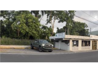 Local 728p2 Carr 843 Bo. Carraizo