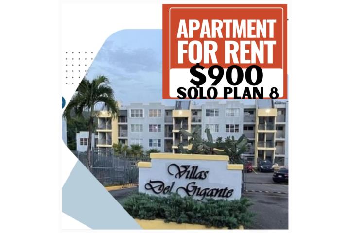 Apartamento - Solo Plan 8