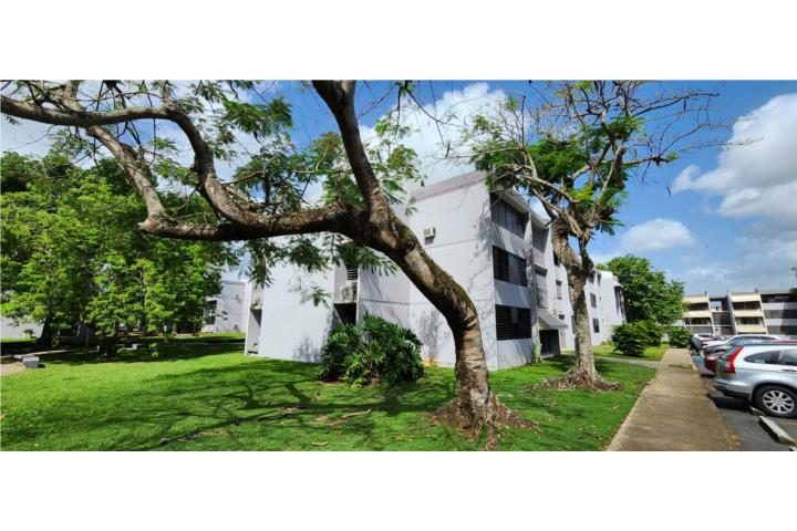 RIVER PARK /  BAYAMON / 3h-1b / RENTA $1,400