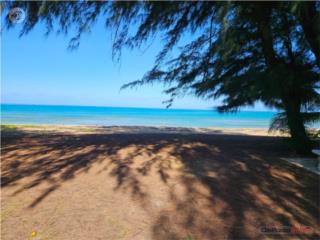 Apartamento de Playa, hasta 8 personas. $1400