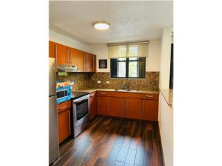Alquiler Condominio Parkville Plaza Excelente Penthouse Parkville Plaza, Guaynabo Guaynabo