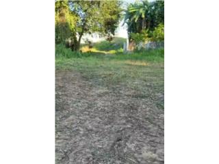Una cuerda de terreno, Culebrinas San Sebasti