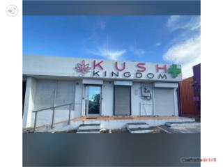 Alquiler Urbanizacion Extension San Agustin Excelentes Locales Comerciales Ave 65th Inf San Juan - R�o Piedras
