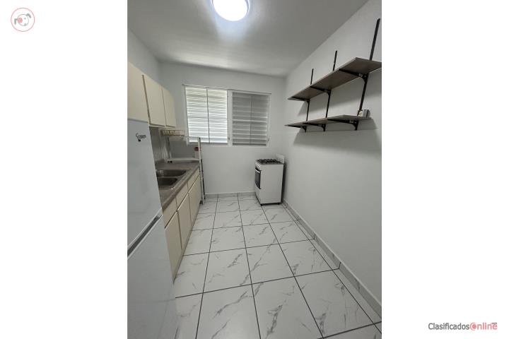 Bello apartamento, remodelado