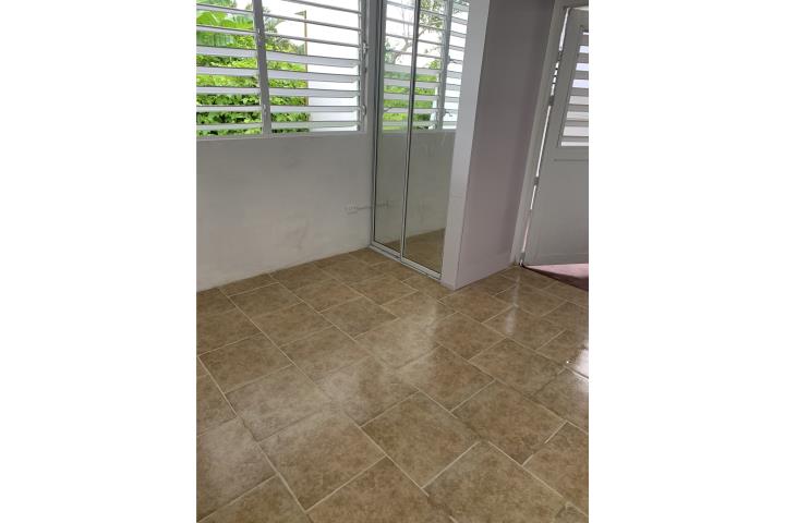 APART 1 CUARTO/ INCL AGUA & LUZ/  SECCION 8