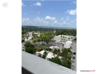 Penthouse - Cond. Villa Caparra Executive
