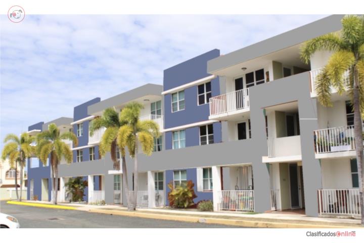 Cond coconut court
