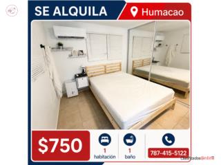 Apartamentos Amueblados Humacao