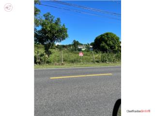 TERRENO EN ALQUILER EN ISABELA