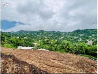 Terreno 3/4 Cuerda ,Bayamon, Alquiler