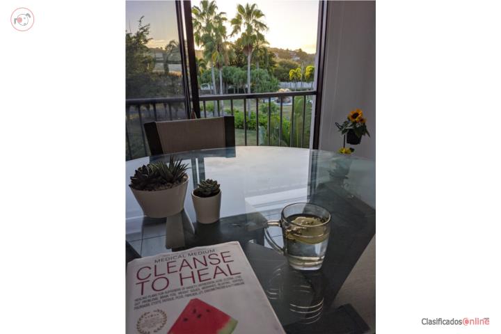 Penthouse Rental in Haciendas de Palmas, Humacao