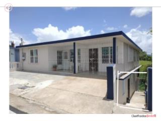 Collores Apt 2c1b inc. agua y luz $650