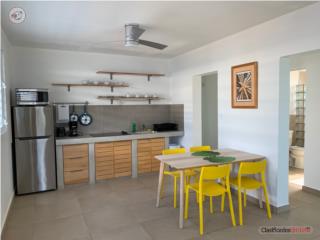 MODERN ONE-BEDROOM MINI LOFT IN RAMEY