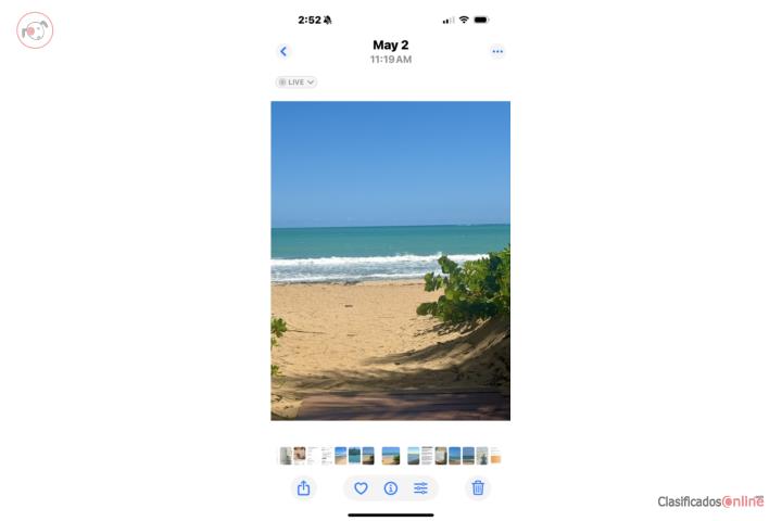 Viva en la playa, y cerca de área metro.