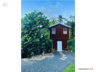 Tiny House en Bayamon
