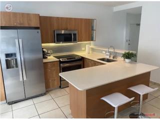 Furnished Modern Apt