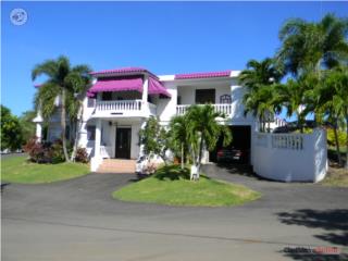 APARTAMENTO ESTUDIO $450