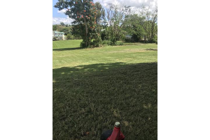 Guanajibo Puerto Rico